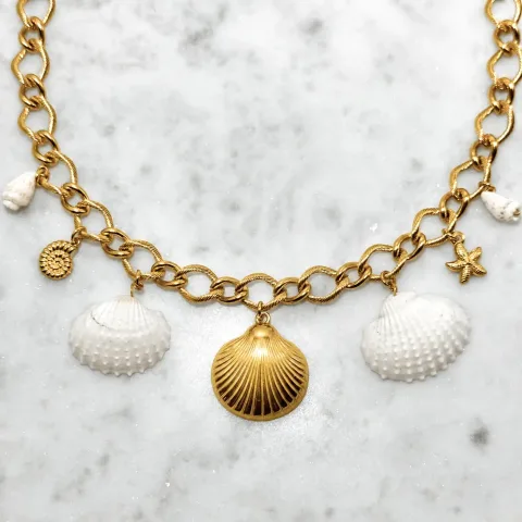 Schelpen bedelketting