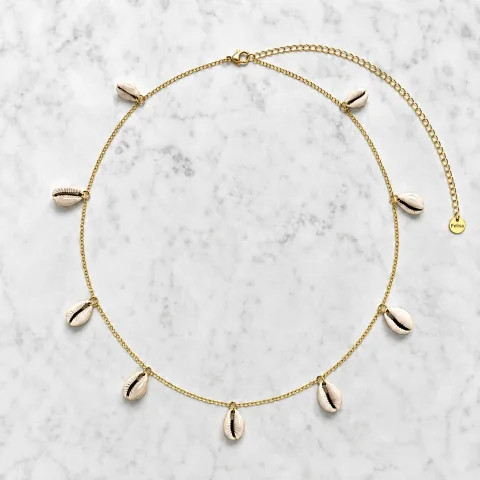 Schelpen buikketting