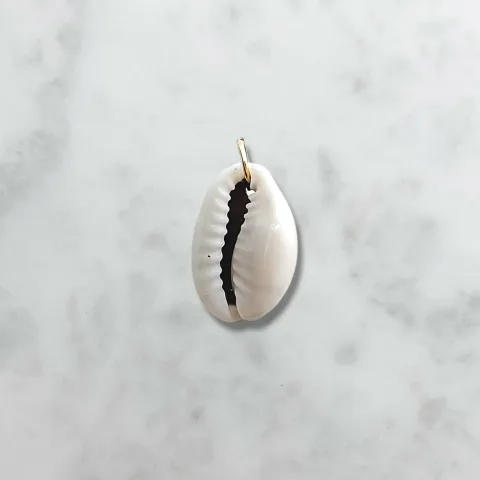 Witte kauri schelp bedel